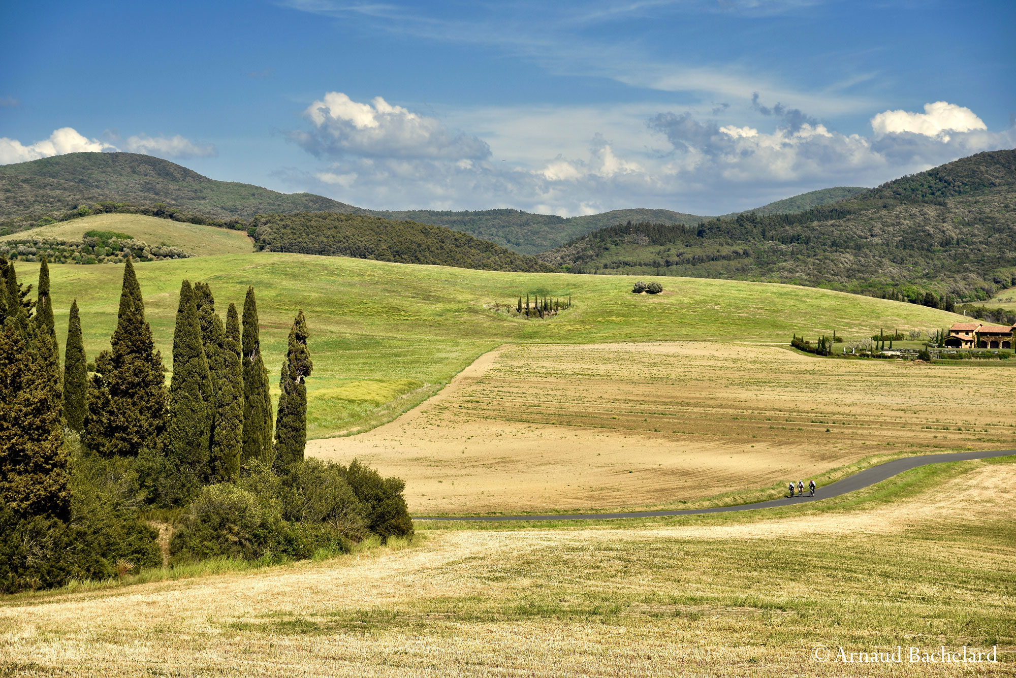 DSC5418 Arnaud Bachelard