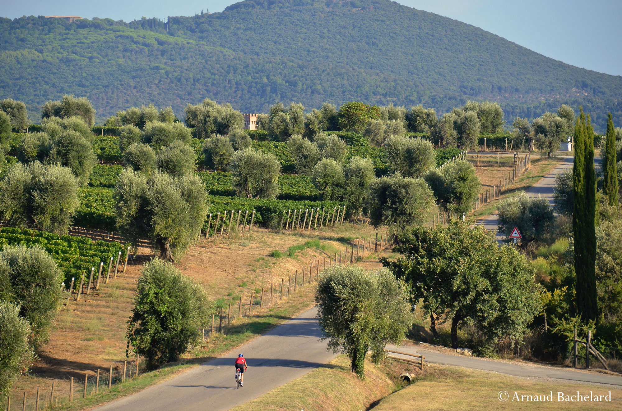 DSC 7645 Arnaud Bachelard