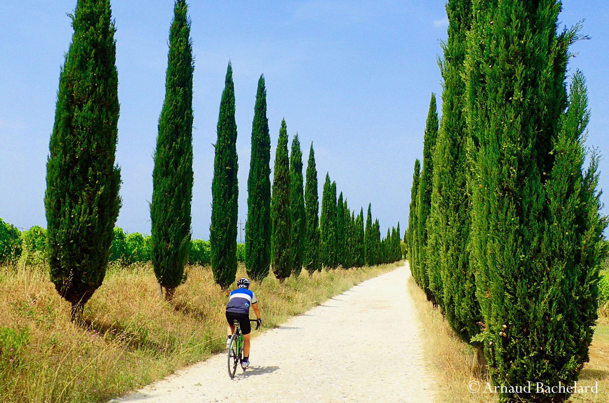 P6130516 Arnaud Bachelard